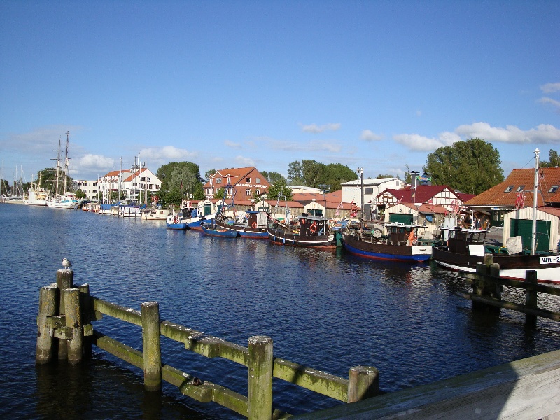 DSC01236
