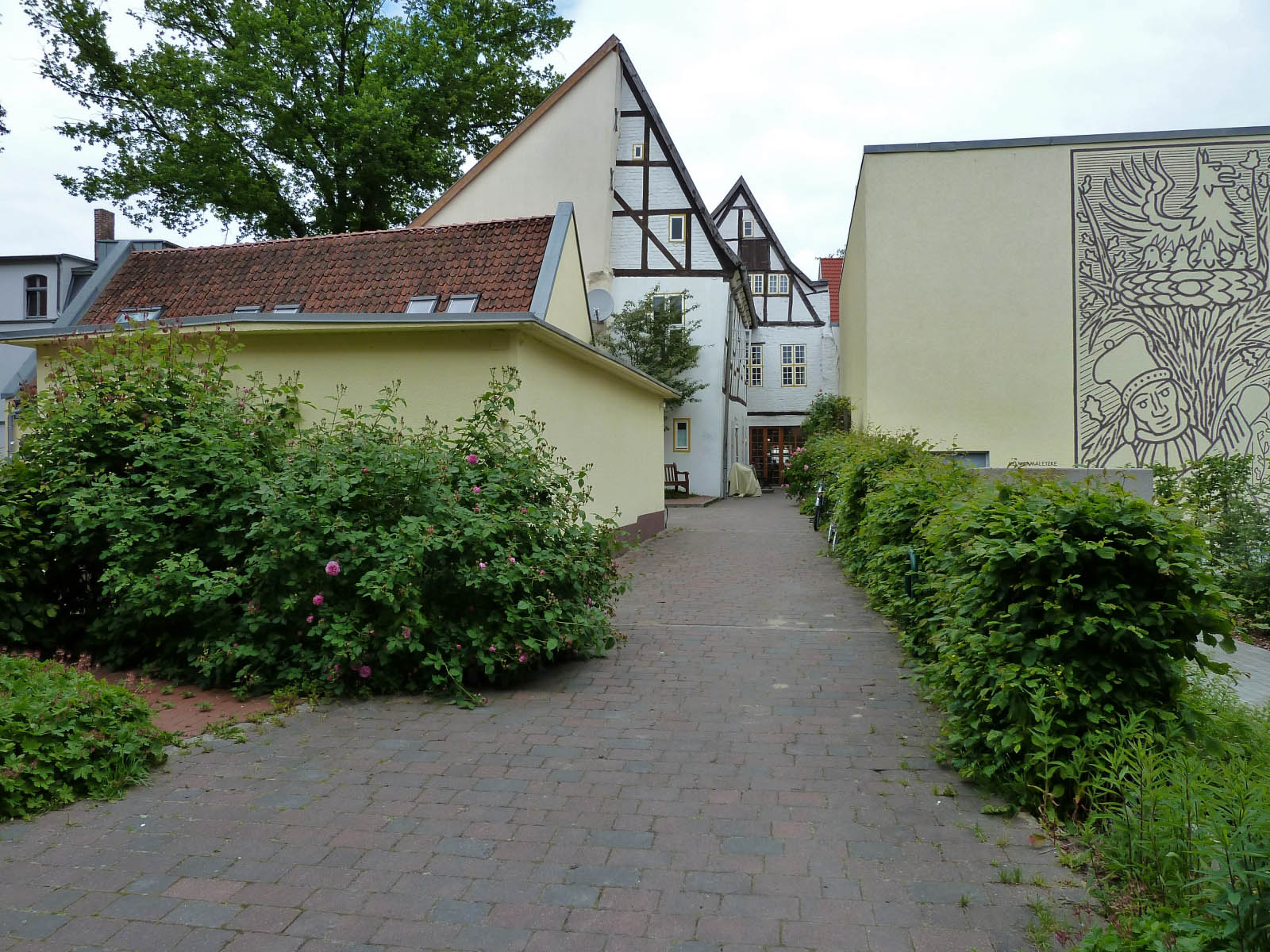 P1000148